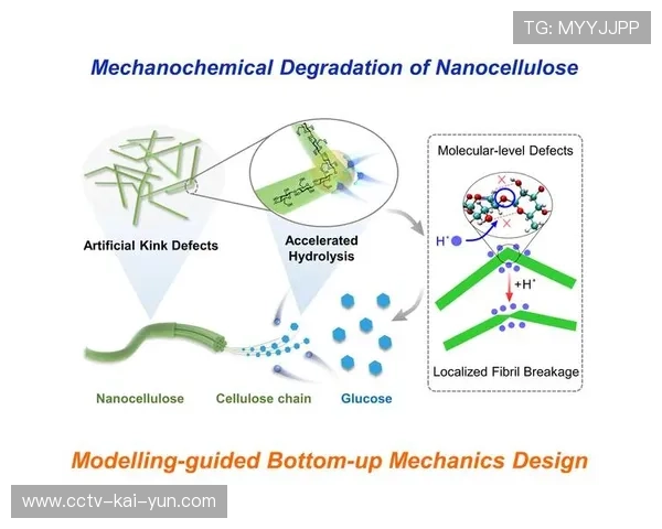 机构诱导策略分析：如何透过赔率变化洞察市场意图